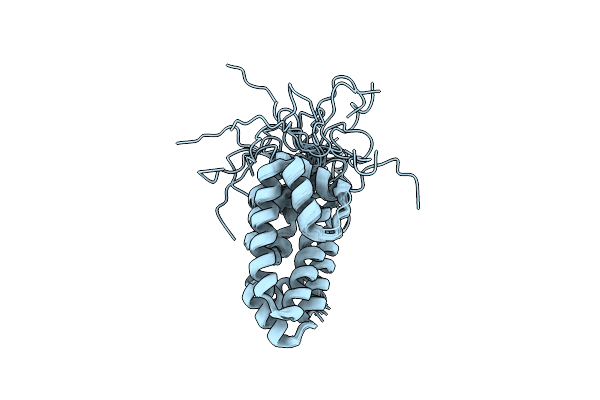 4UET image
