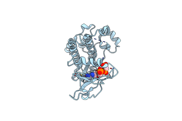 4UEU image
