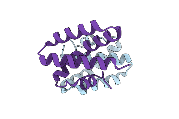 4UEX image