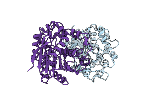 4UFP image