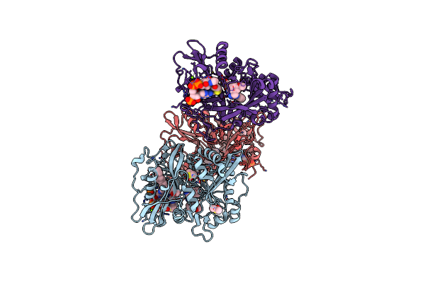 4UFV image