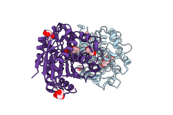 4UHB image
