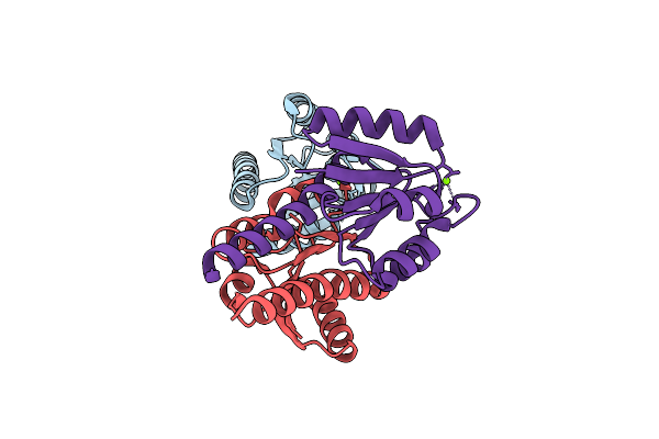 4UHK image