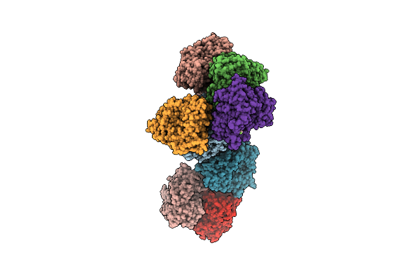 4UHL image