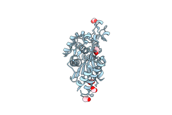 4UHU image