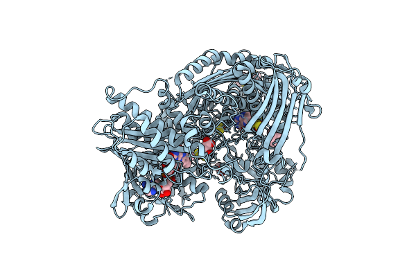 4UHX image