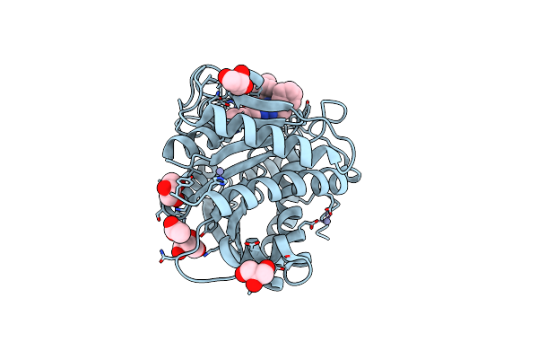4UIB image