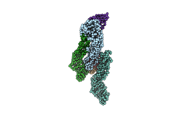 4UIH image