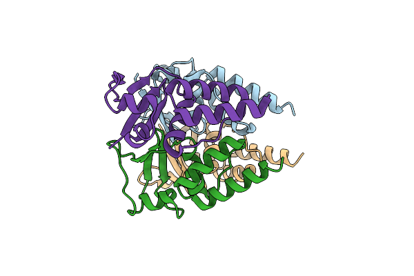 4UIJ image