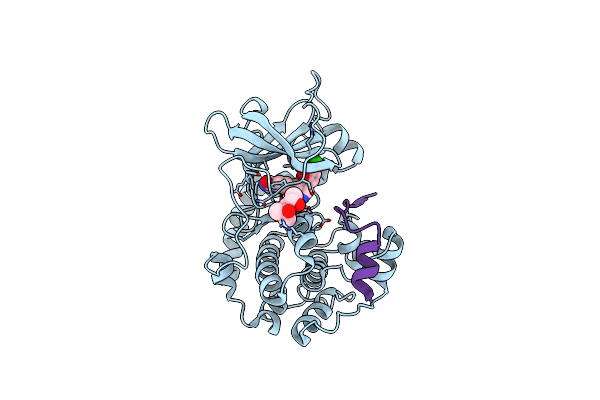 4UJ1 image