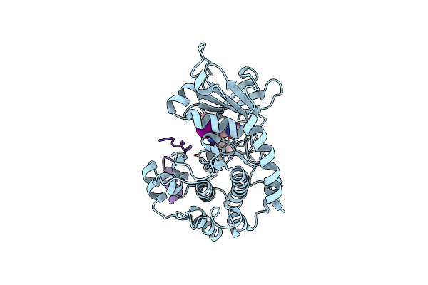 4UJ2 image