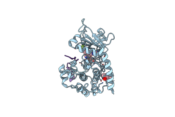 4UJ9 image