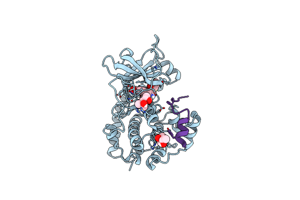 4UJB image
