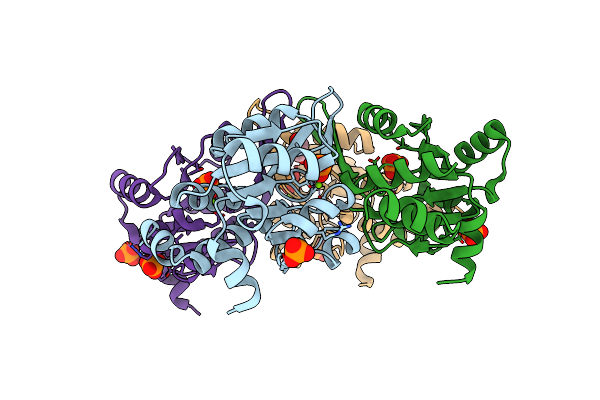 4UM5 image