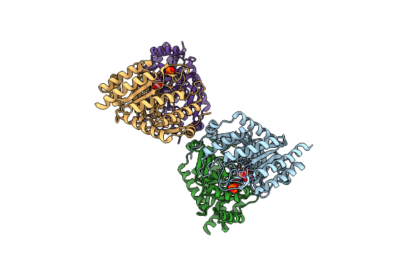 4UMB image