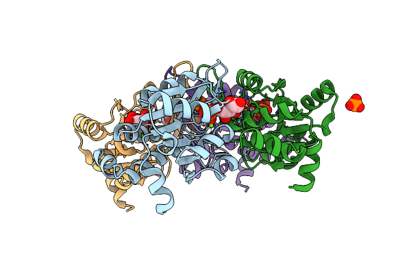 4UMF image