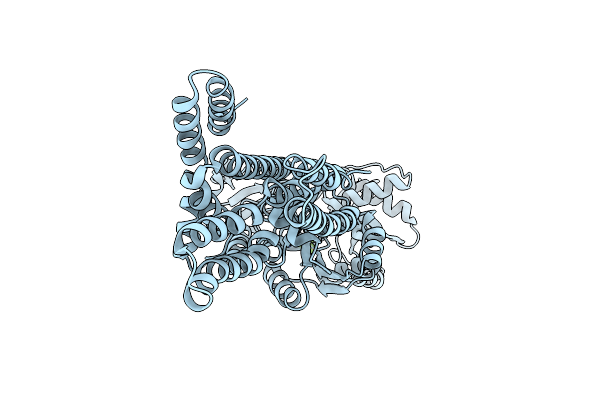 4UMV image