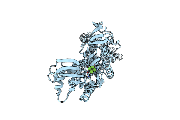 4UMW image