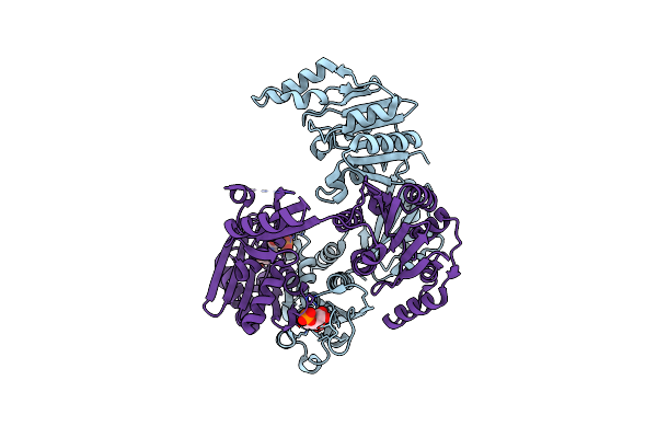 4UOC image