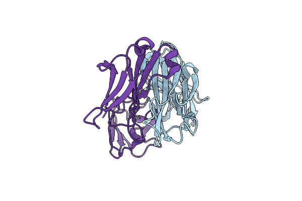 4UOM image