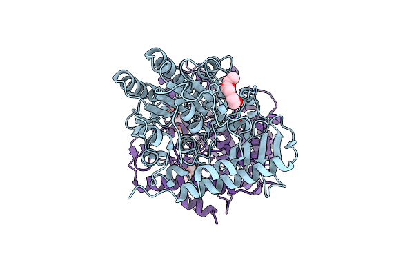 4UOP image