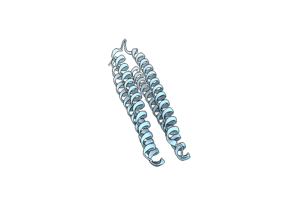 4UOS image
