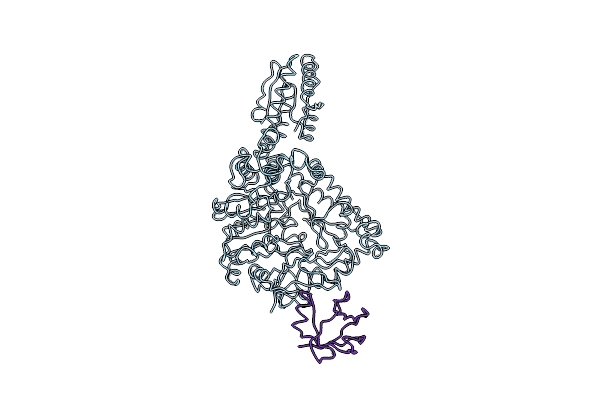 4UPF image