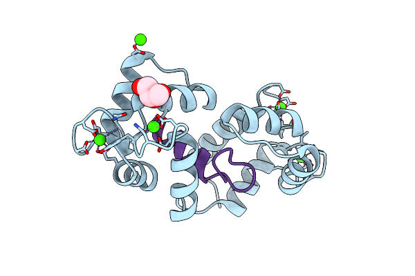 4UPU image