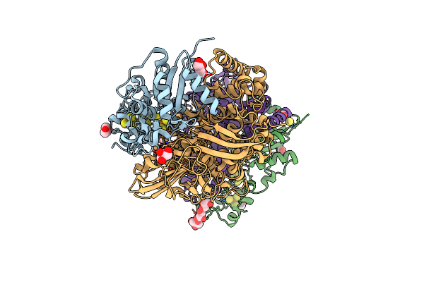 4UPV image