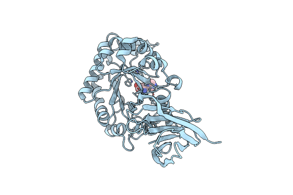 4UQA image