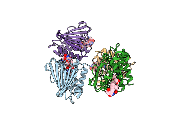 4URO image