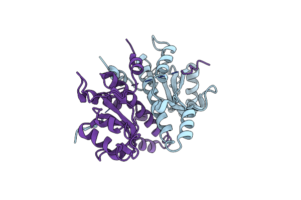4URP image