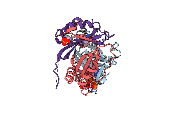 4USI image