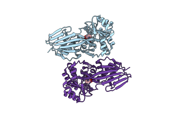 4USM image