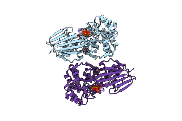 4UTG image