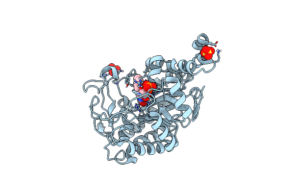 4UTH image