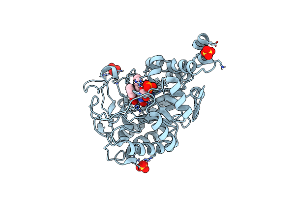 4UTI image