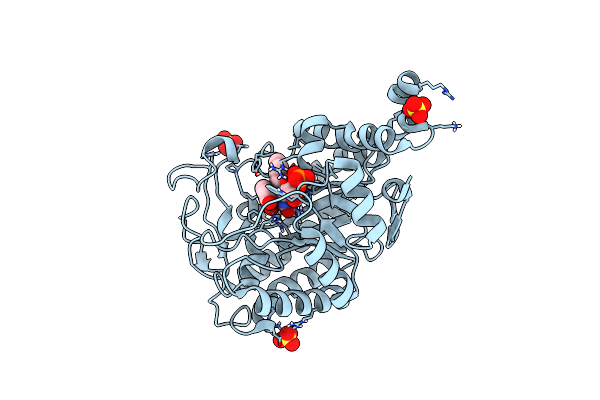 4UTJ image