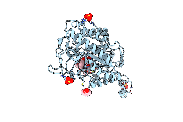 4UTL image