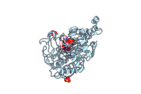 4UTM image