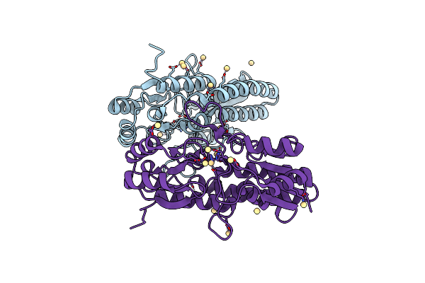 4UTP image
