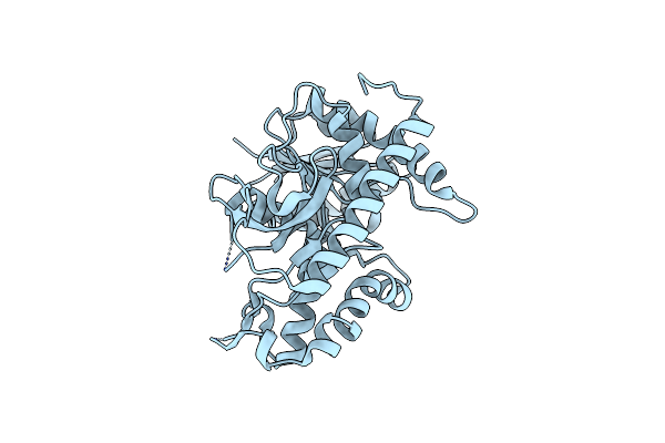 4UUO image