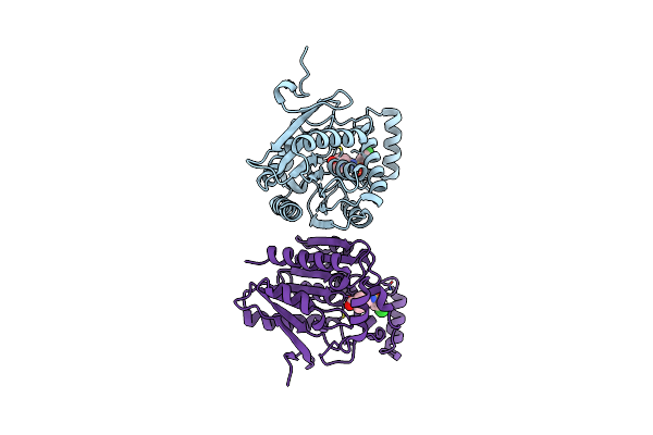 4UUQ image