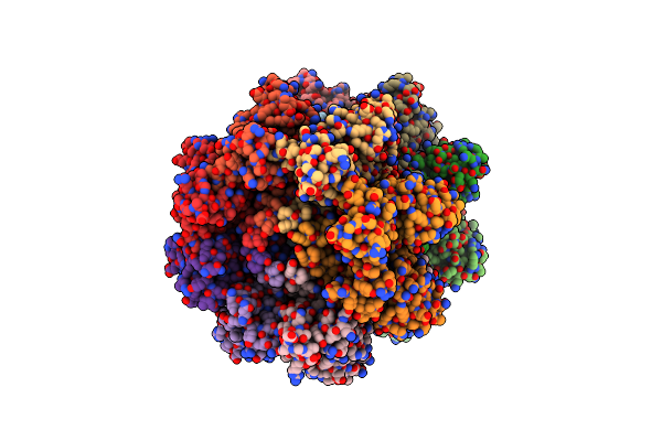 4UV2 image