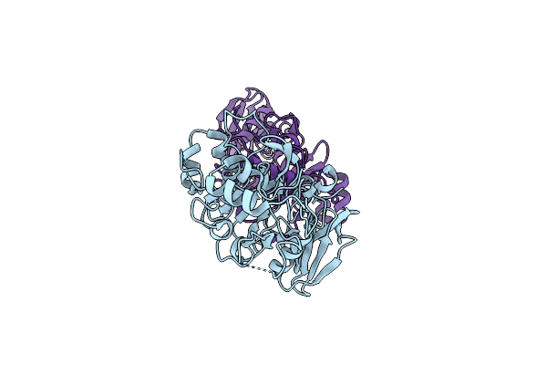 4UV6 image
