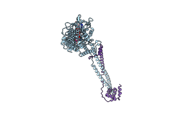 4UVA image