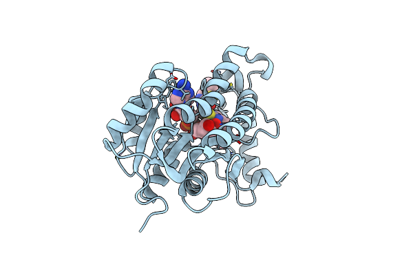 4UVD image