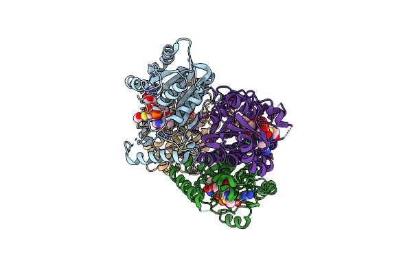 4UVH image