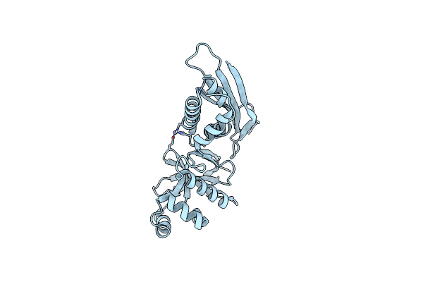 4UVQ image