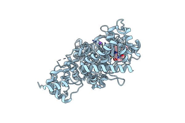 4UWH image